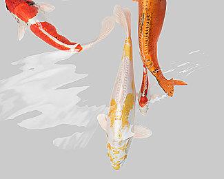 《地平线：西之绝境》现已发售 媒体赞誉宣传片公布